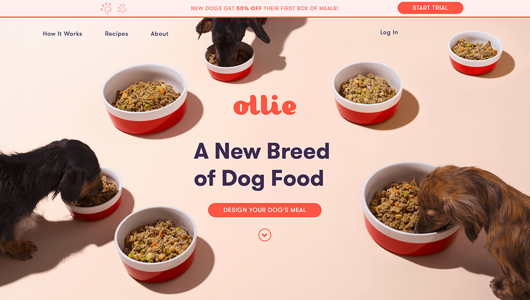 Ollie - Tailored, Fresh Dog Food